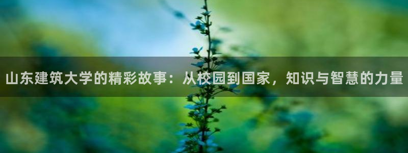 谈球吧体育综合