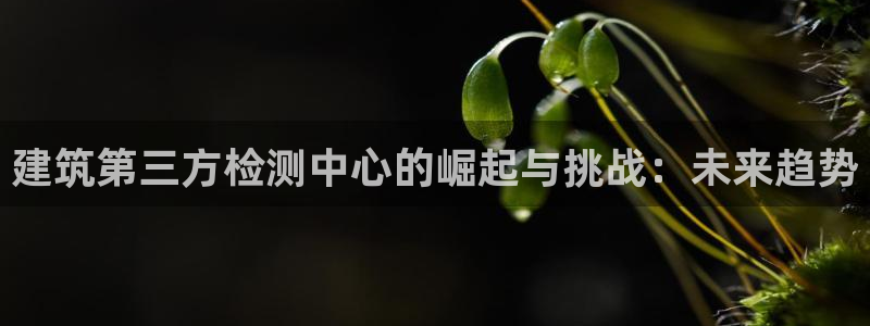 谈球吧体育官网在线入口免费观看