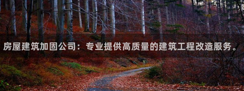 谈球吧体育官网在线入口免费观看