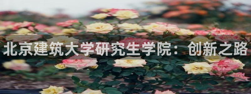 谈球吧娱乐app下载官网苹果