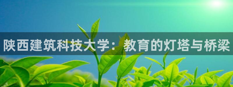 谈球吧app官方下载