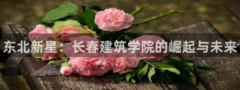 谈球吧官网在线入口手机版下载苹果