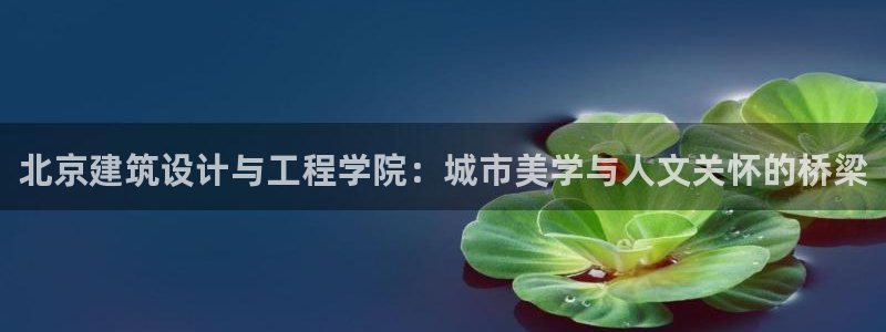 谈球吧官网在线入口免费观看高清版：北京建筑设计与工程学院：城市美学与人文关怀的桥梁